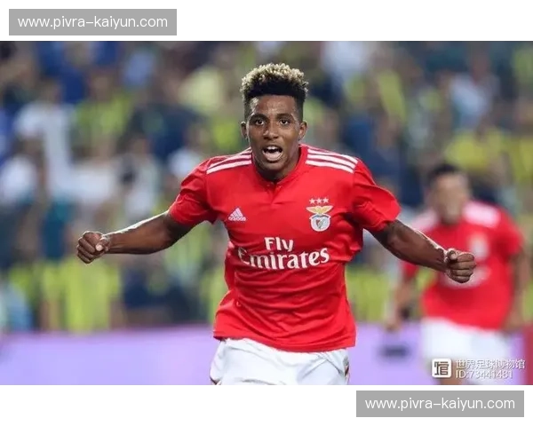 2023年世青赛门票，让你与未来足球巨星亲密接触！